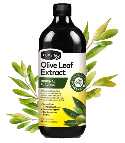 Comvita Olive Leaf Extract Original Flavour - Fresh-Picked Oral Liquid 500ml