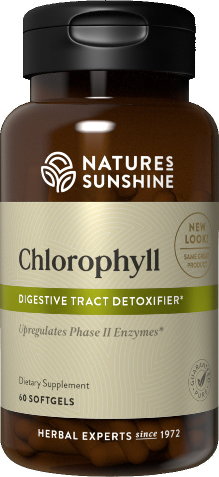 Natures Sunshine Chlorophyll Softgels 60