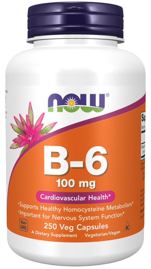 Now Vitamin B-6 100mg Vegecaps 100